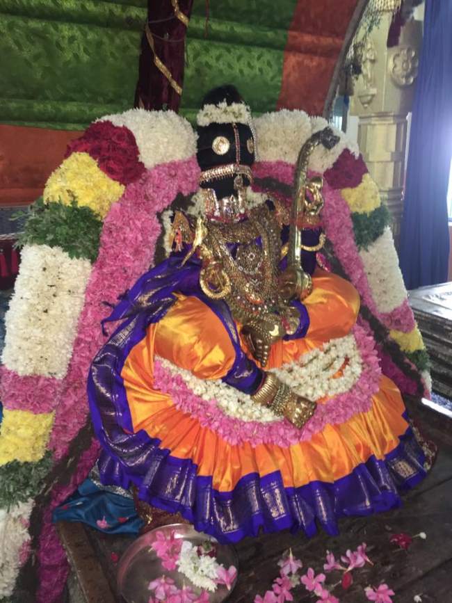 thiruvahindrapuram-swami-desikan-thirunakshatra-utsavam-day-5-2016001