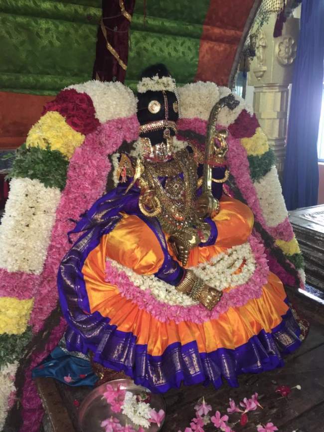 thiruvahindrapuram-swami-desikan-thirunakshatra-utsavam-day-5-2016002