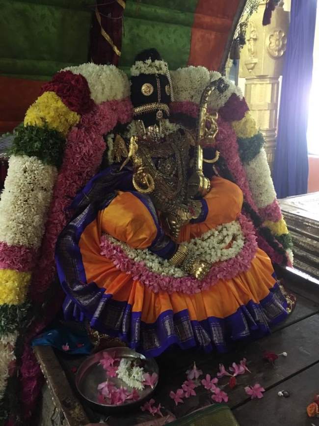thiruvahindrapuram-swami-desikan-thirunakshatra-utsavam-day-5-2016003