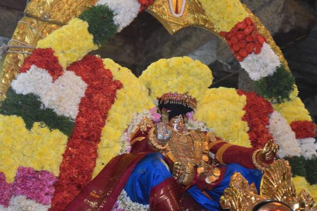 thiruvahindrapuram-swami-desikan-thirunakshatra-utsavam-day-3-evening-2016002