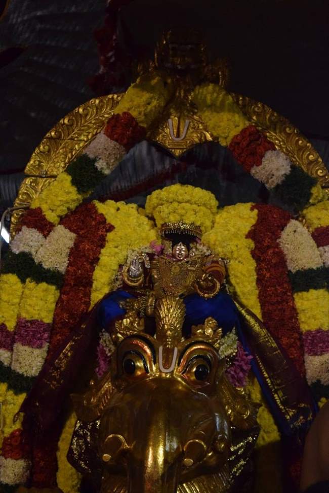 thiruvahindrapuram-swami-desikan-thirunakshatra-utsavam-day-3-evening-2016018