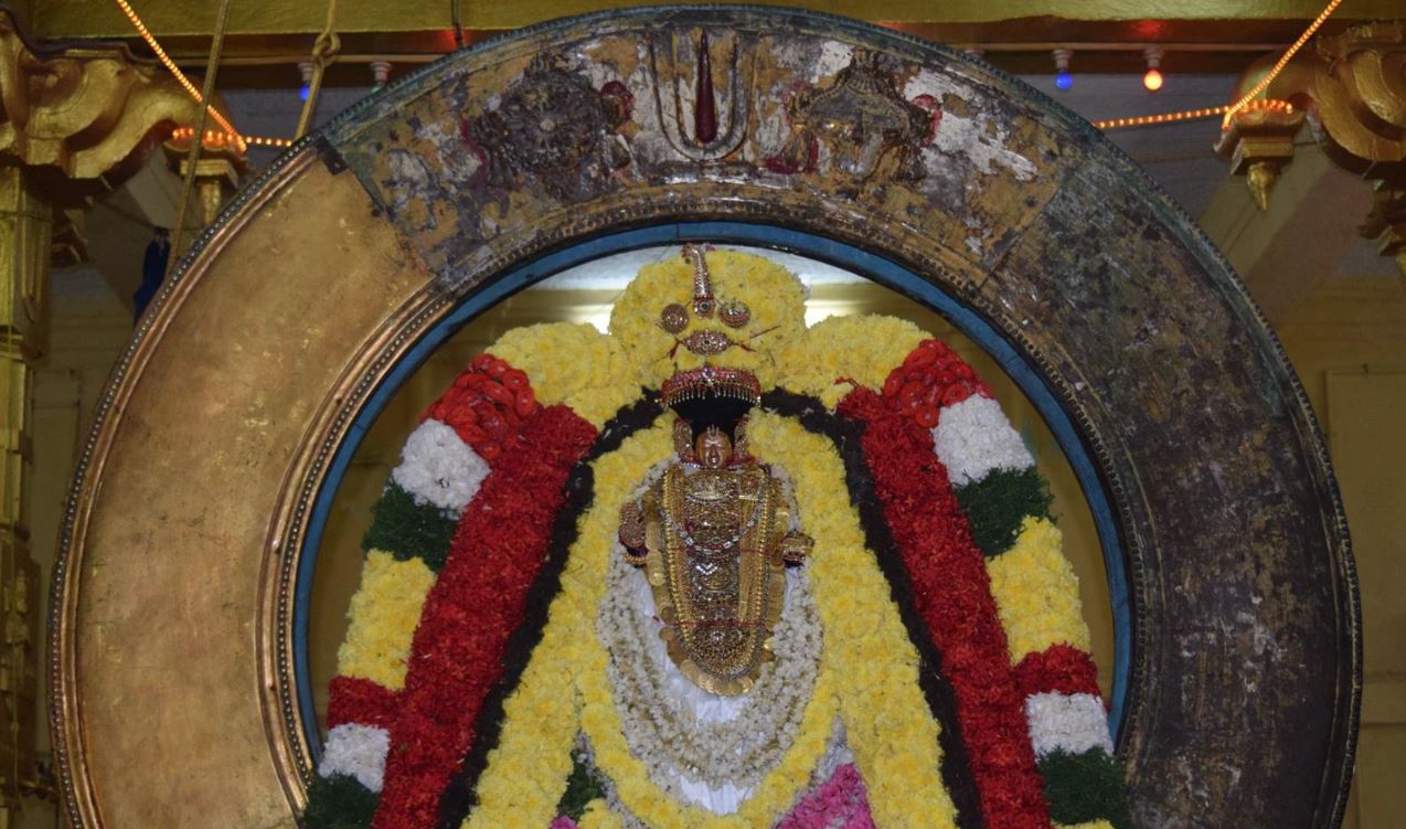thiruvahindrapuram-swami-desikan-thirunakshatra-utsavam-day-3-morning-1-2016
