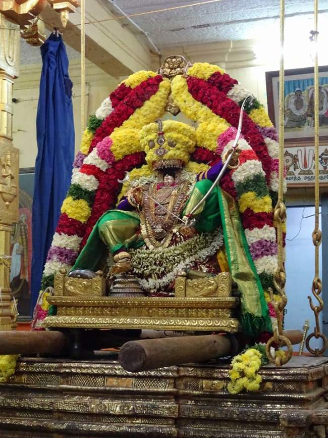 thiruvahindrapuram-swami-desikan-thirunakshatra-utsavam-day-8-2016001