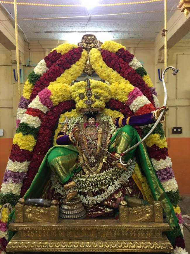 thiruvahindrapuram-swami-desikan-thirunakshatra-utsavam-day-8-2016002