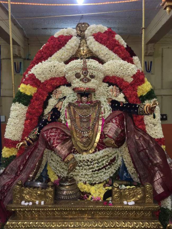 thiruvahindrapuram-swami-desikan-thirunakshatra-utsavam-day-8-2016004