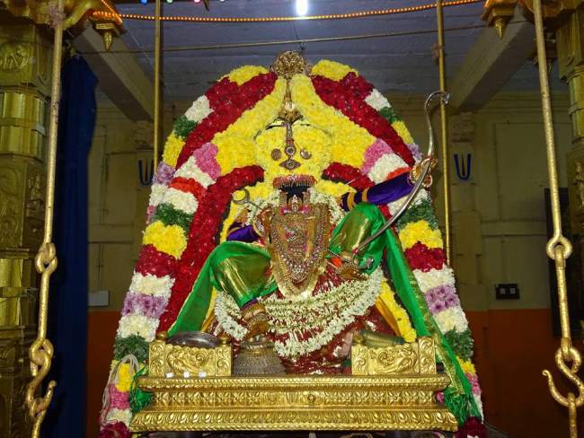 thiruvahindrapuram-swami-desikan-thirunakshatra-utsavam-day-8-2016005