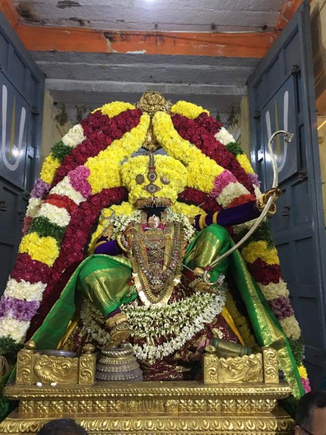 thiruvahindrapuram-swami-desikan-thirunakshatra-utsavam-day-8-2016006