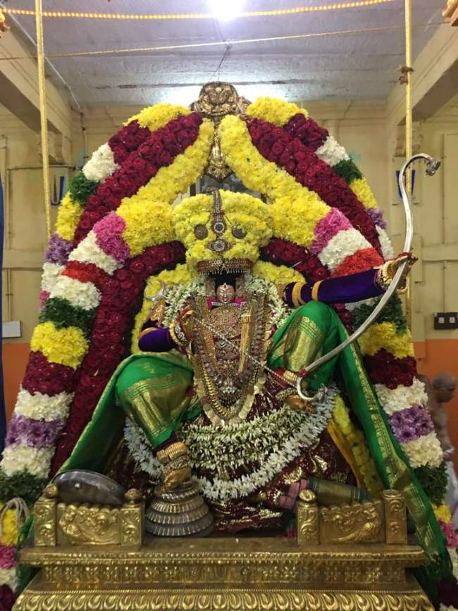 thiruvahindrapuram-swami-desikan-thirunakshatra-utsavam-day-8-2016010