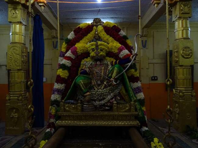 thiruvahindrapuram-swami-desikan-thirunakshatra-utsavam-day-8-2016011