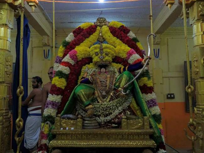 thiruvahindrapuram-swami-desikan-thirunakshatra-utsavam-day-8-2016012