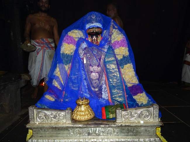 thiruvahindrapuram-swami-desikan-thirunakshatra-utsavam-day-8-2016014