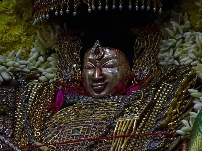 thiruvahindrapuram-swami-desikan-thirunakshatra-utsavam-day-8-2016014