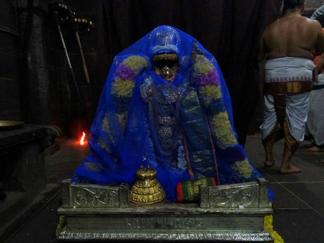 thiruvahindrapuram-swami-desikan-thirunakshatra-utsavam-day-8-2016016