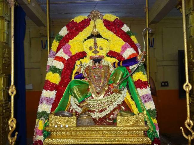 thiruvahindrapuram-swami-desikan-thirunakshatra-utsavam-day-8-2016018