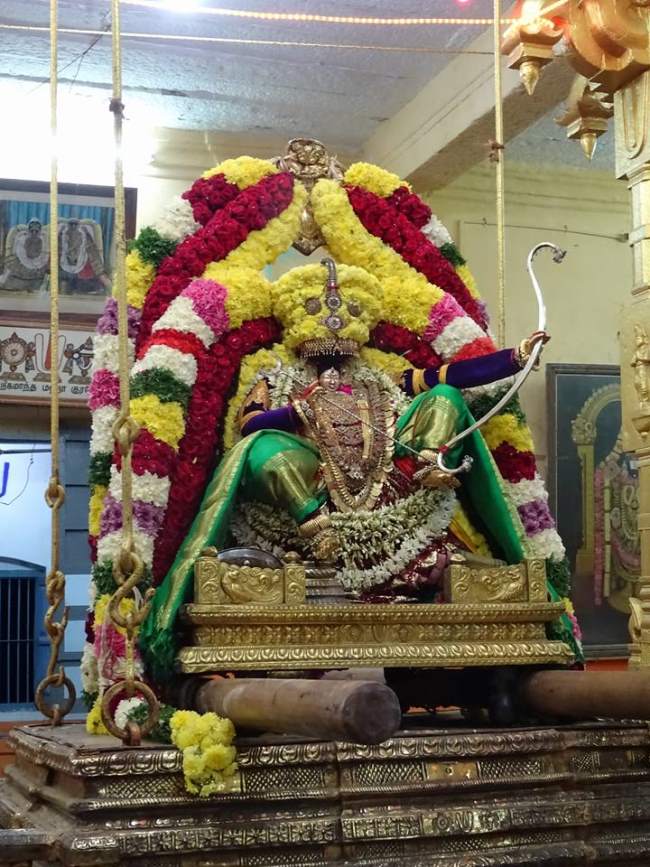 thiruvahindrapuram-swami-desikan-thirunakshatra-utsavam-day-8-2016021
