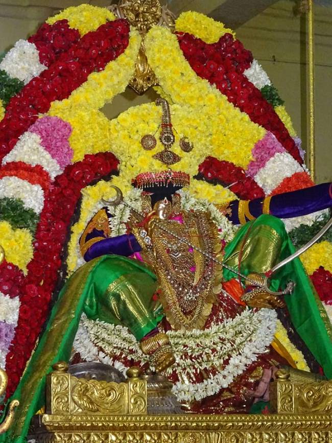 thiruvahindrapuram-swami-desikan-thirunakshatra-utsavam-day-8-2016022