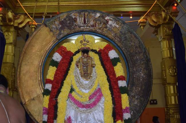 thiruvahindrapuram-swami-desikan-thirunakshatra-utsavam-day-3-morning-2016001