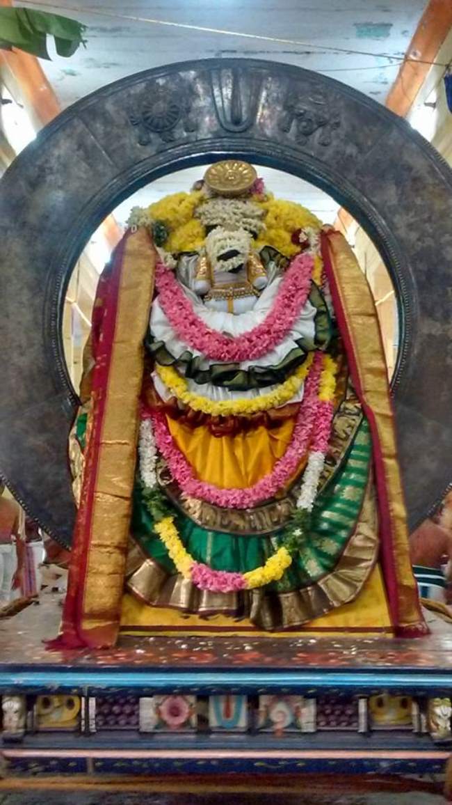 thiruvahindrapuram-swami-desikan-thirunakshatra-utsavam-day-3-morning-2016008