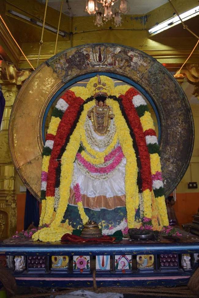 thiruvahindrapuram-swami-desikan-thirunakshatra-utsavam-day-3-morning-2016018