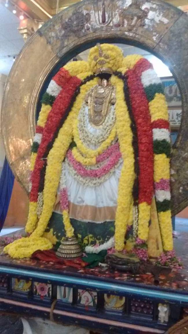 thiruvahindrapuram-swami-desikan-thirunakshatra-utsavam-day-3-morning-2016020
