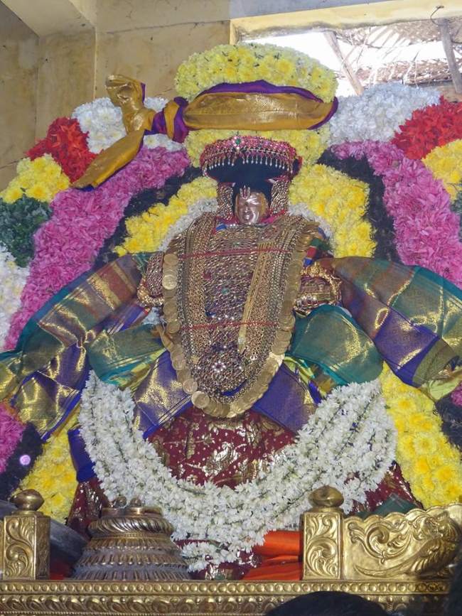 thiruvahindrapuram-swami-desikan-thirunakshatra-utsavam-day-9-2016007