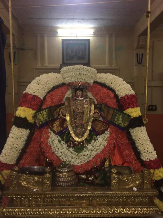 thiruvahindrapuram-swami-desikan-thirunakshatra-utsavam-day-9-2016011