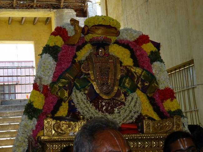 thiruvahindrapuram-swami-desikan-thirunakshatra-utsavam-day-9-2016026