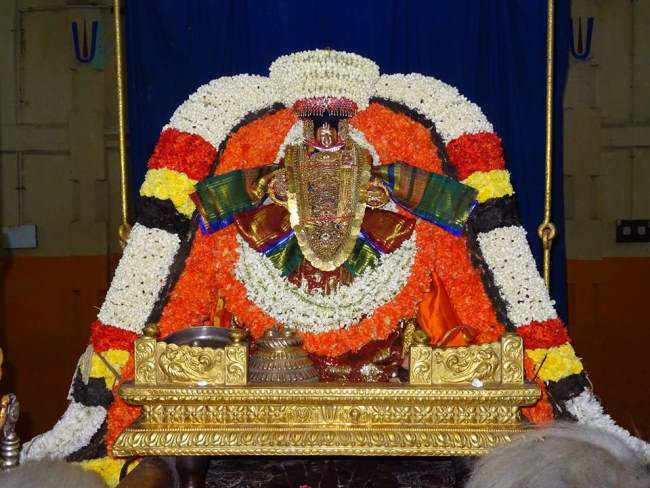 thiruvahindrapuram-swami-desikan-thirunakshatra-utsavam-day-9-2016034