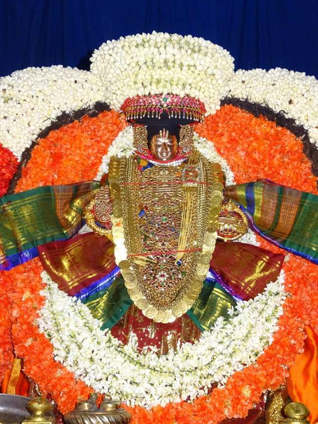 thiruvahindrapuram-swami-desikan-thirunakshatra-utsavam-day-9-2016036