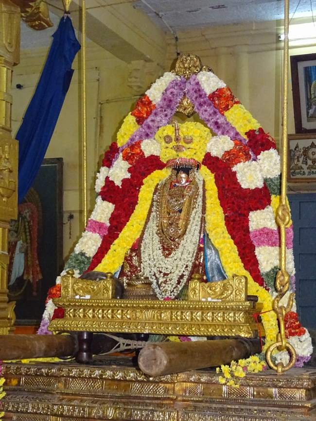 thiruvahindrapuram-swami-desikan-thirunakshatra-utsavam-day-1-2016002