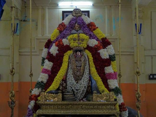 thiruvahindrapuram-swami-desikan-thirunakshatra-utsavam-day-1-2016008