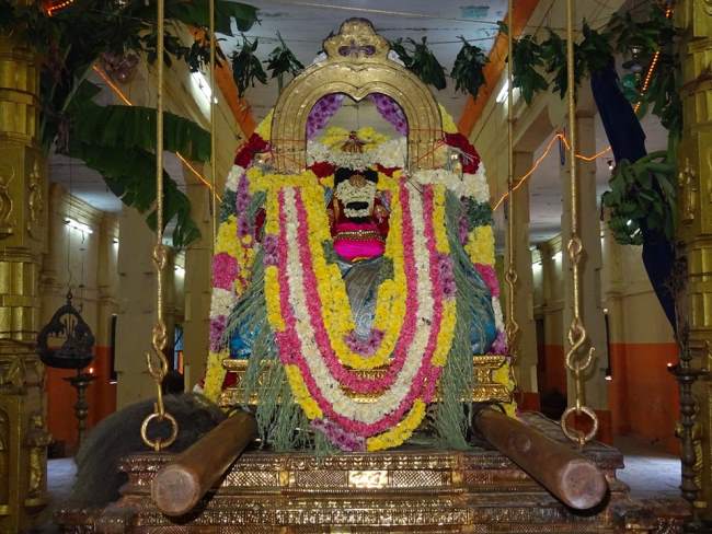 thiruvahindrapuram-swami-desikan-thirunakshatra-utsavam-day-1-2016013