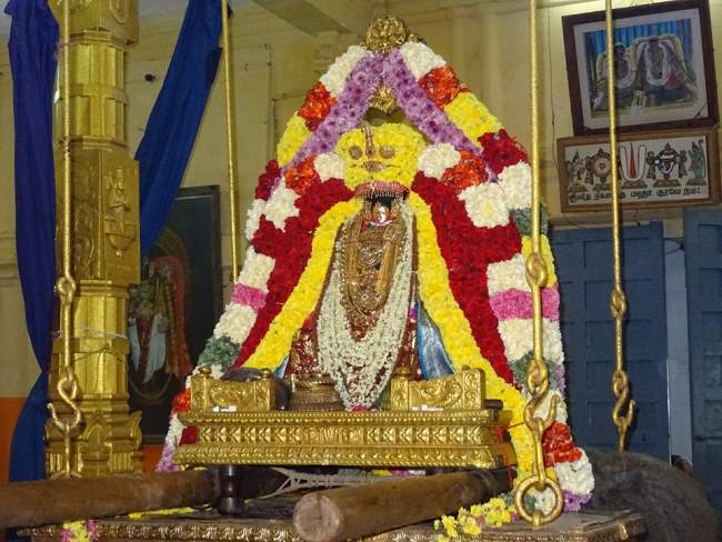 thiruvahindrapuram-swami-desikan-thirunakshatra-utsavam-day-1-2016017
