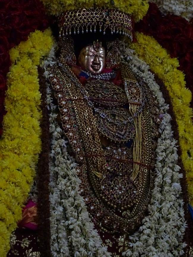 thiruvahindrapuram-swami-desikan-thirunakshatra-utsavam-day-1-2016029