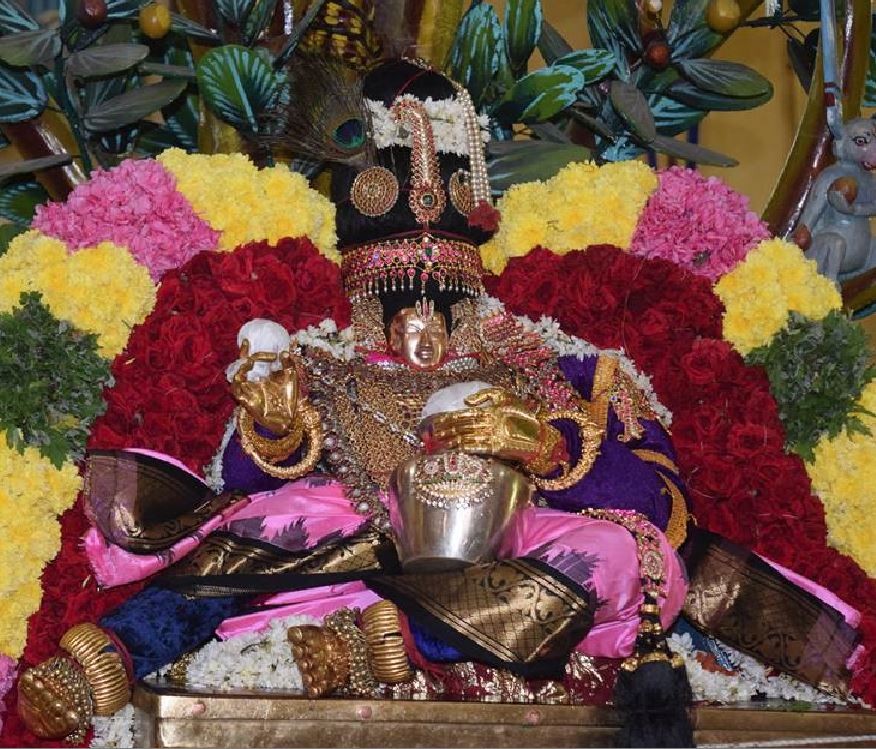 thiruvahindrapuram-swami-desikan-thirunakshatram-day-3-2015