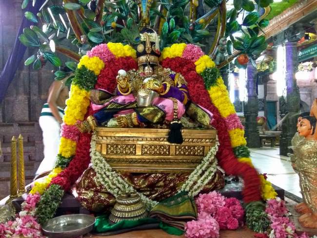 thiruvahindrapuram-swami-desikan-thirunakshatra-utsavam-day-3-morning-2016003