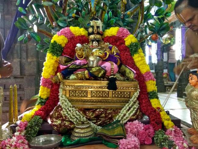 thiruvahindrapuram-swami-desikan-thirunakshatra-utsavam-day-3-morning-2016012