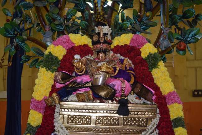 thiruvahindrapuram-swami-desikan-thirunakshatra-utsavam-day-3-morning-2016017