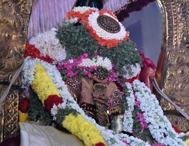 thiruvallikeni-sri-parthasarathy-temple-deepavalli-purappadu004
