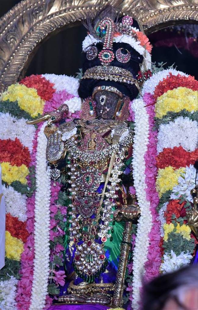 thiruvallikeni-sri-parthasarathy-temple-deepavalli-purappadu005
