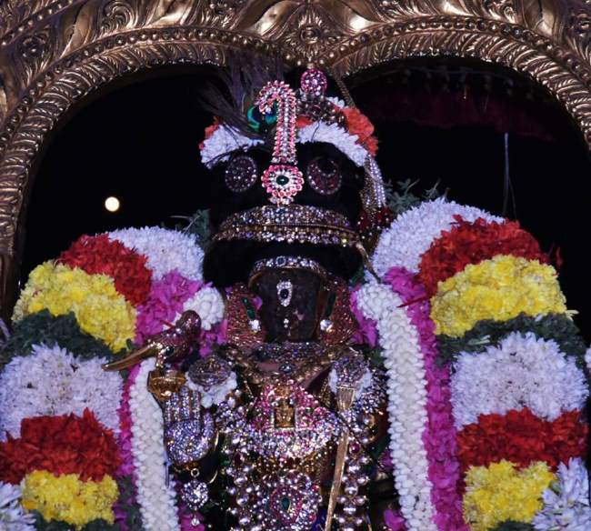 thiruvallikeni-sri-parthasarathy-temple-deepavalli-purappadu009