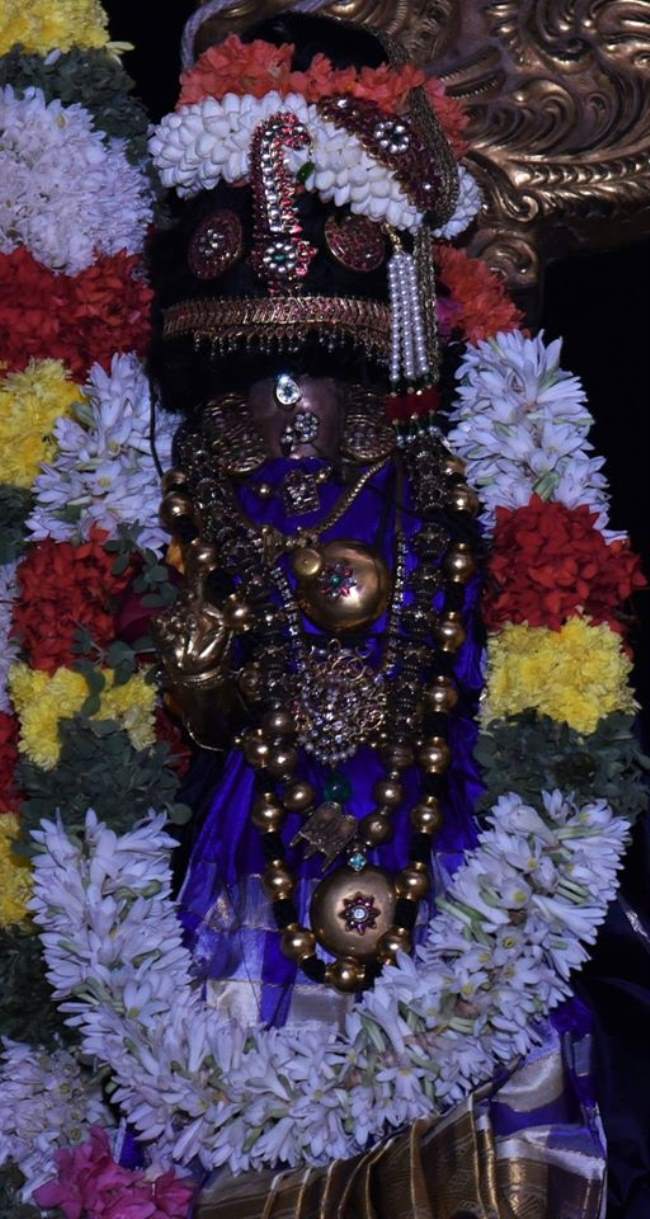 thiruvallikeni-sri-parthasarathy-temple-deepavalli-purappadu018