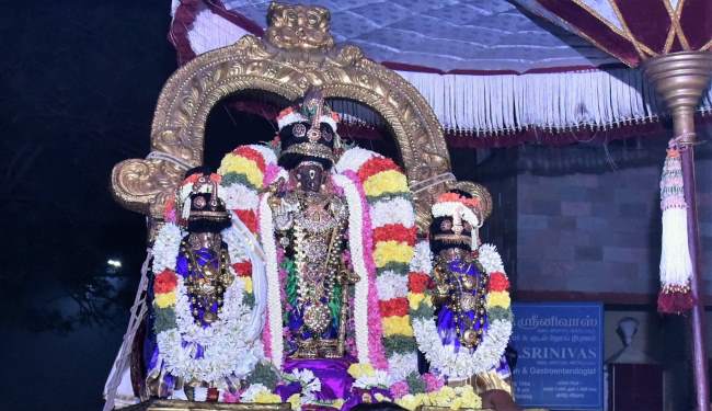thiruvallikeni-sri-parthasarathy-temple-deepavalli-purappadu021