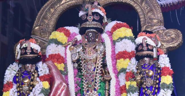 thiruvallikeni-sri-parthasarathy-temple-deepavalli-purappadu029