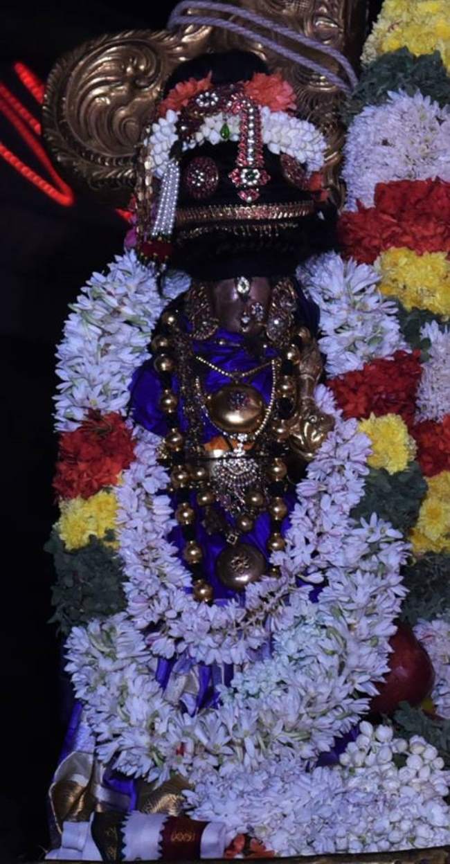 thiruvallikeni-sri-parthasarathy-temple-deepavalli-purappadu047