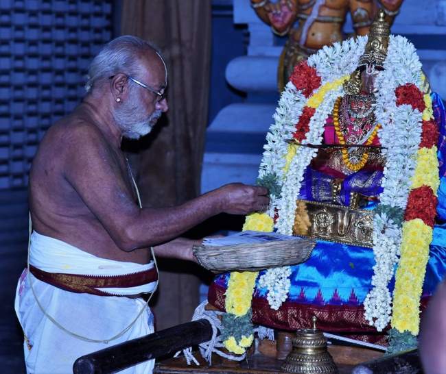 thiruvallikeni-swami-desikan-thirunakshatra-utsavam-day-9-2016006