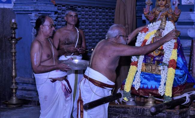 thiruvallikeni-swami-desikan-thirunakshatra-utsavam-day-9-2016010