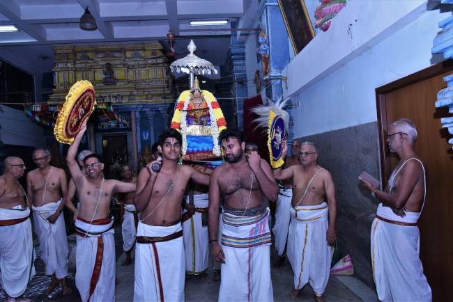 thiruvallikeni-swami-desikan-thirunakshatra-utsavam-day-9-2016013