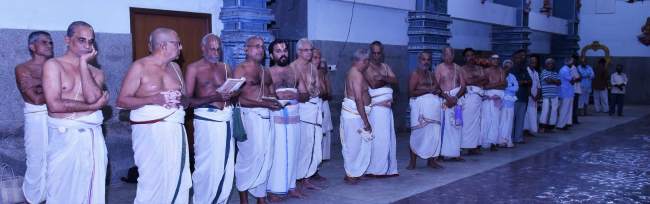thiruvallikeni-swami-desikan-thirunakshatra-utsavam-day-9-2016017