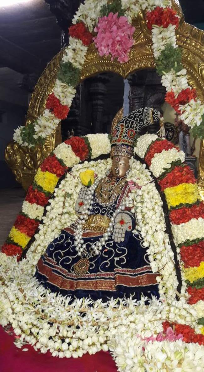 thiruvallur-navarathri-utsavam-day-5-2016004